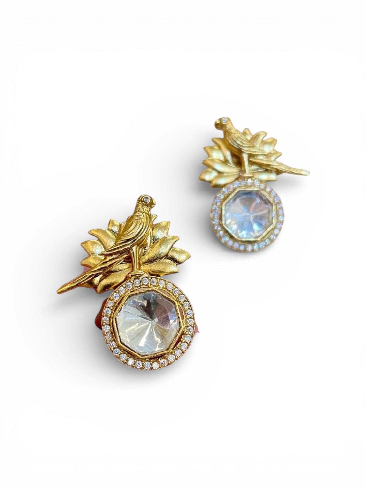 Photoroom_20260222_095219