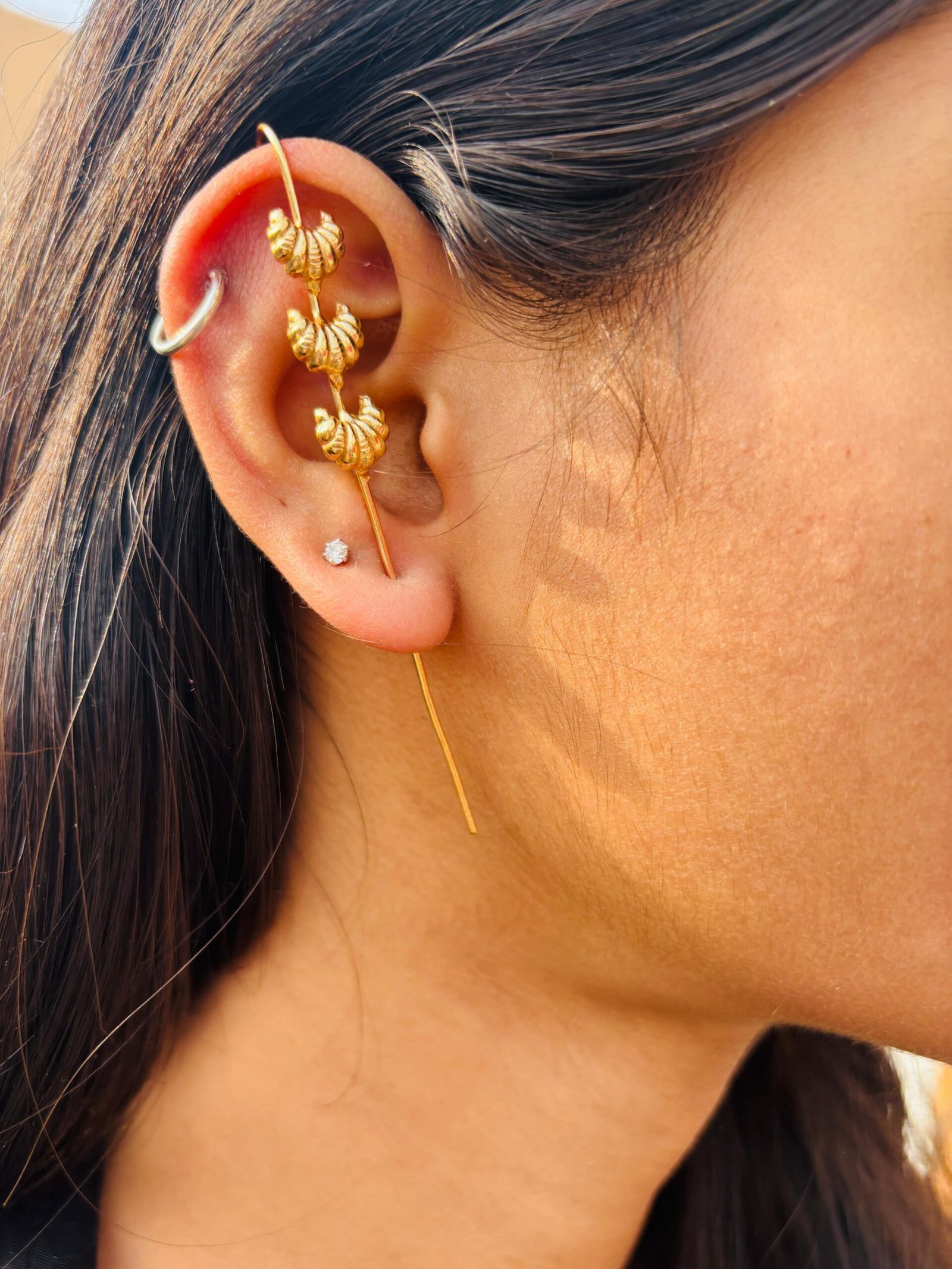 PHOTO-2026-03-01-13-26-07